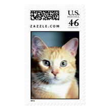 Katz Stamps