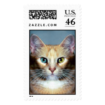 Katz Stamps
