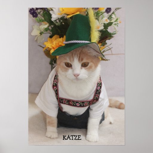 KATZE/CAT Funny German Cat Poster Zazzle
