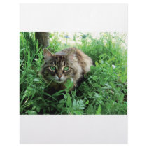 Katze letterhead