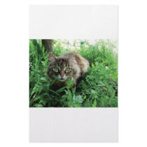 Katze Stationery