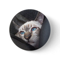 katzou buttons