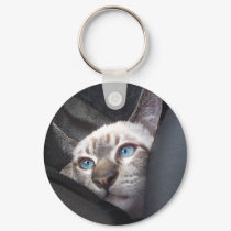 katzou keychains