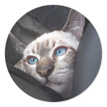 katzou stickers