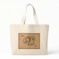 Kauai, 1878, Vintage Hawaii Map bags