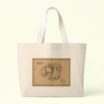 Kauai, 1878, Vintage Hawaii Map bags