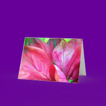 Kauai Close-Up cards