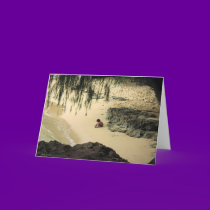 Kauai Dreamer cards