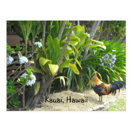 Kauai, Hawaii Post Card