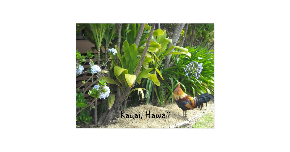 Kauai, Hawaii Postcard Zazzle