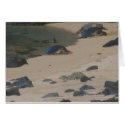 Kauai honu cards by joacreations Kauai honu cards