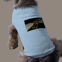 Kauai Hot Mouth color final pet clothing