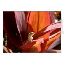Kauai Lizard Card