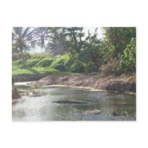 Kauai Paradise Postcard