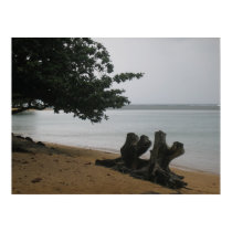 Kauai posters by jewelsofawe Kauai posters