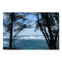 Kauai Roadside posters