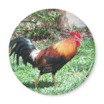 Kauai Rooster Magnet