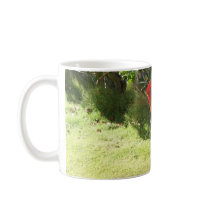 Kauai Rooster Mug