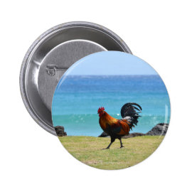 Kauai rooster pinback buttons