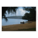 Kauai's sacredness card by joacreations Kauai's sacredness card