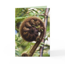 Kauri Forest Fern Greeting Cards