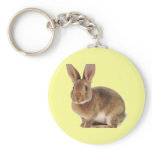 Kawaii Cute Bunny Rabbit keychains