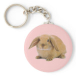 Kawaii Cute Bunny Rabbit keychains