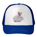 Kawaii Cute Bunny Rabbit hats