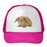 Kawaii Cute Bunny Rabbit hats
