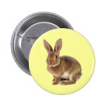 Kawaii Cute Bunny Rabbit buttons