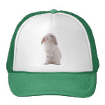 Kawaii Cute Bunny Rabbit hats