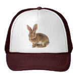 Kawaii Cute Bunny Rabbit hats