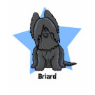 ladies_casual_tshirt - Buy cute Briard gifts, drawn in a Japanese cartoon style known as kawaii. The herding dog breed is sitting in the middle of a large blue star, with the breed name printed underneath. On a large assortment of Briard merchandise for dog lovers. This is the black coat.