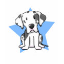 Kawaii Star Harlequin Great Dane Ladies t-shirts