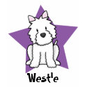 Kawaii Star Westie Ladies TShirt