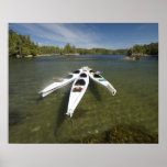 Kayak Fleet at Rest During Late Afternoon at