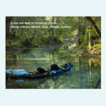 Kayak in Spring Postcard postcards