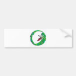Kayak Lucky Ireland Bumper Stickers