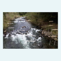 Kayak Race Markers Print posters