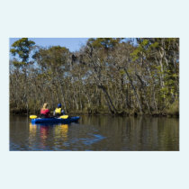 Kayak Trip Print posters