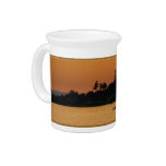 Kayakers Beverage Pitchers