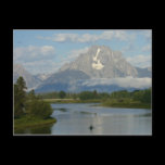 Kayaking in Grand Teton National Park Postcard