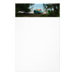 Kayaking in St. Thomas Stationery