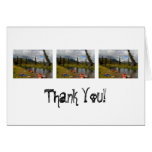 Kayaks at Rest; Thank You Greeting Card