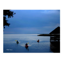 Kayaks on the Sound Postcard