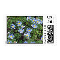 KaysFlowersB postage