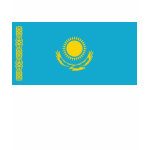 Kazakhstan Flag Map Spaghetti Top