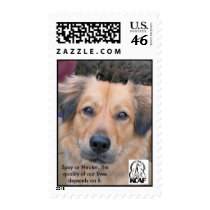 KCAF , Spay or Neuter, the... postage