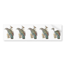 Kea (small only) bumper sticker