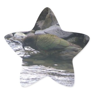 Kea sticker